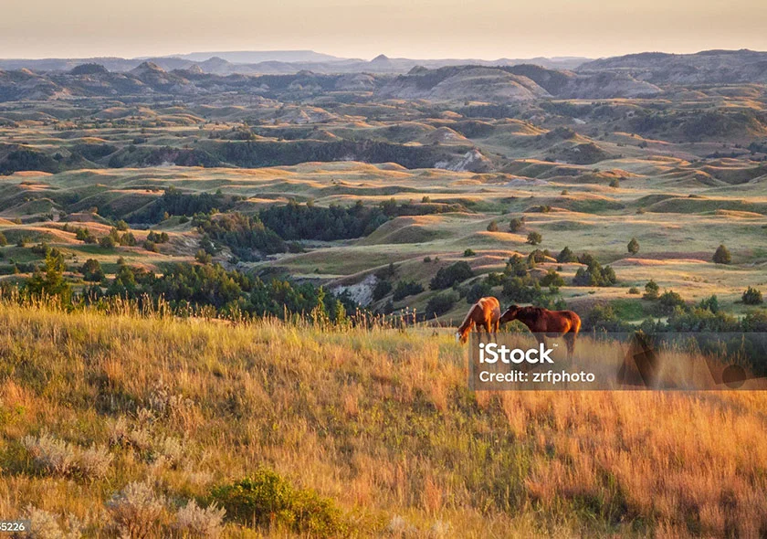 Theodore Roosevelt National Park