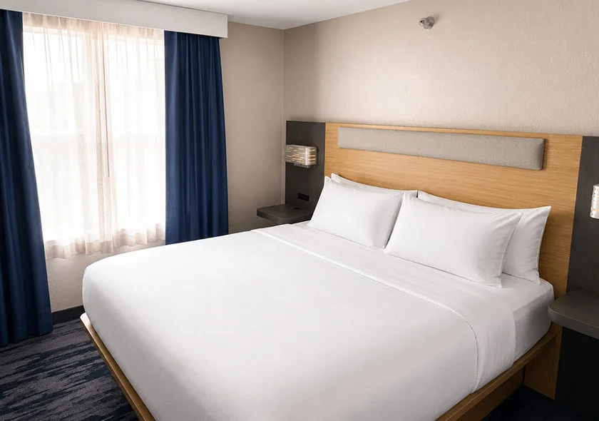 1 Bedroom King Suite 2