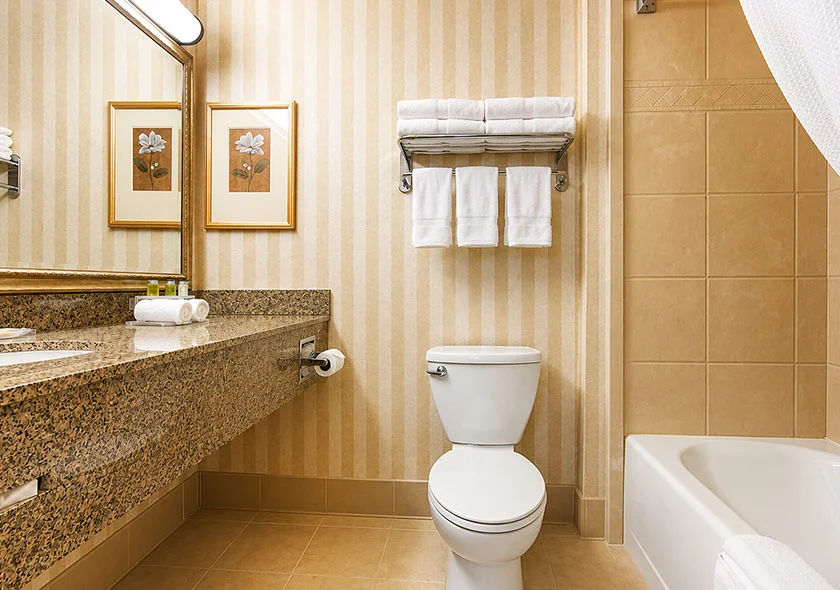 King Suite 4